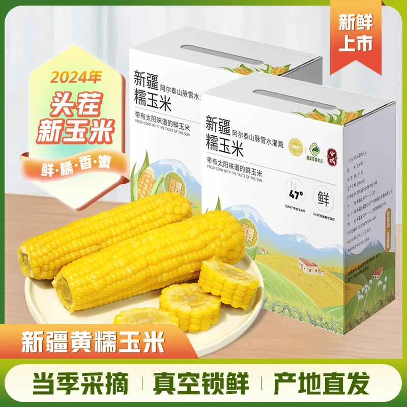 新疆黄糯玉米真空应季甜糯玉米棒礼盒装水果蔬菜香甜玉米好吃美味