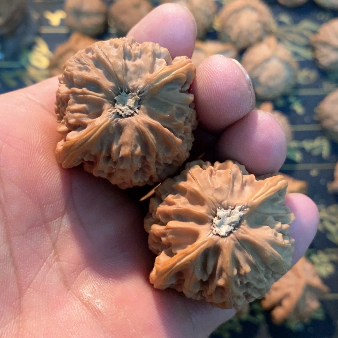 文玩麻核桃宫灯 尺寸4.0