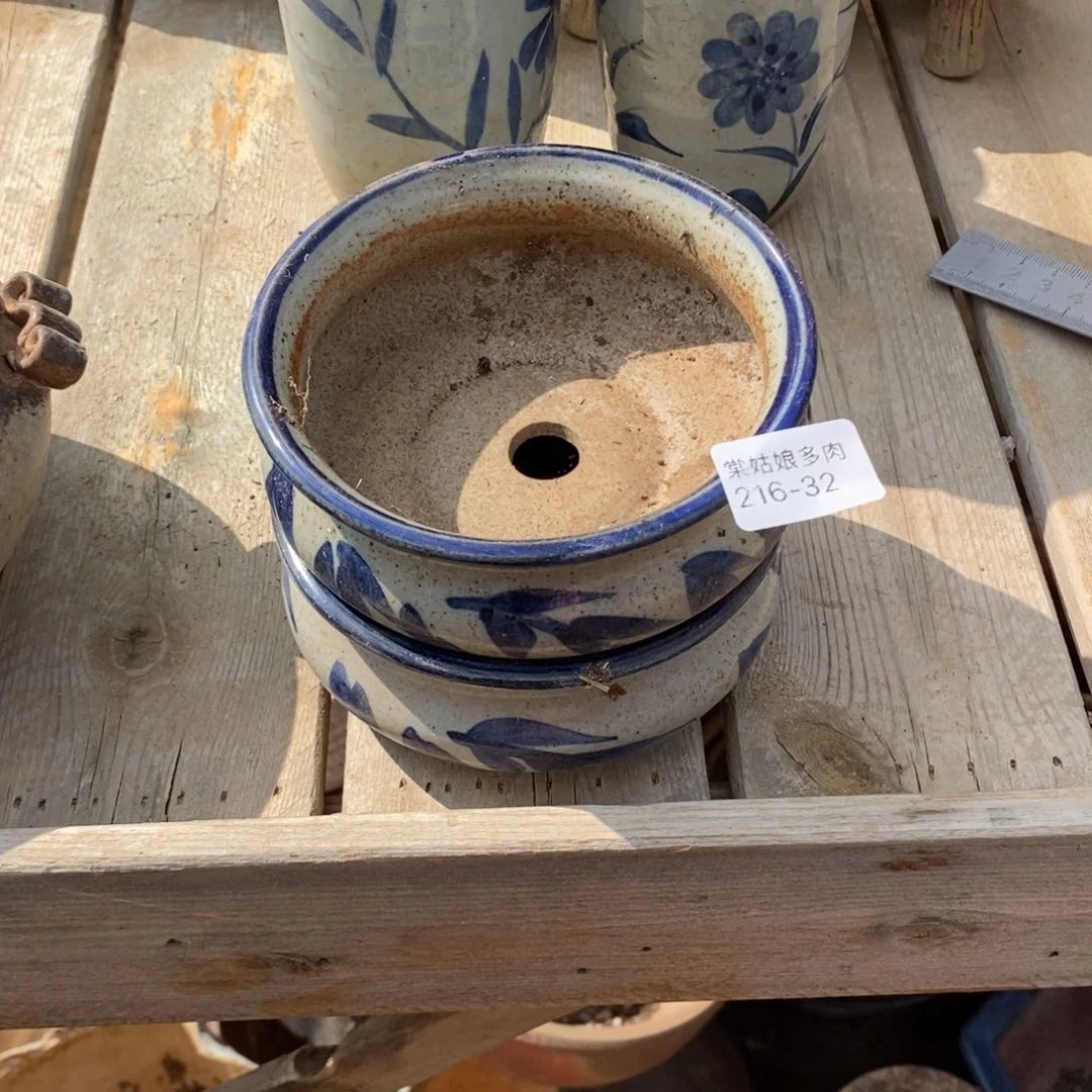 红陶夏***爱32号多肉盆两个