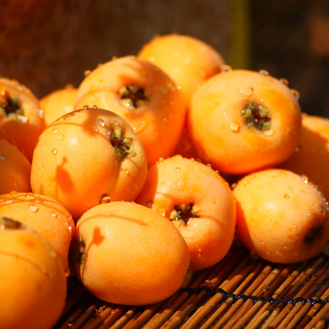 四川大五星枇杷新鲜水果应季香甜多汁皮薄肉厚