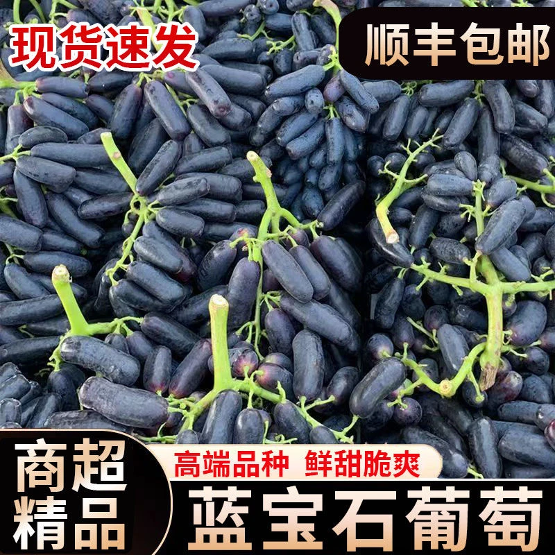 【顺丰】葡萄金手指美人指无籽黑提