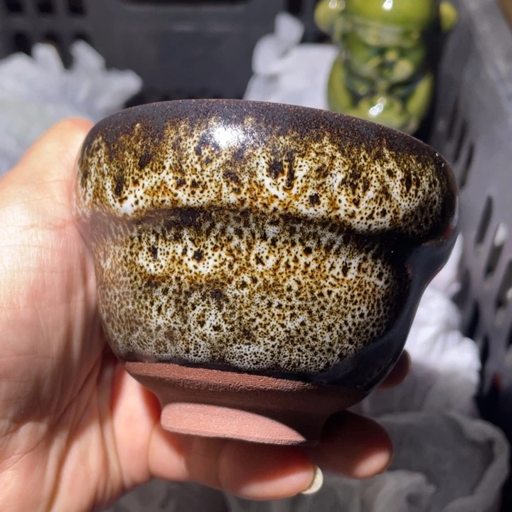茶盏我们是真的没有关系嘛