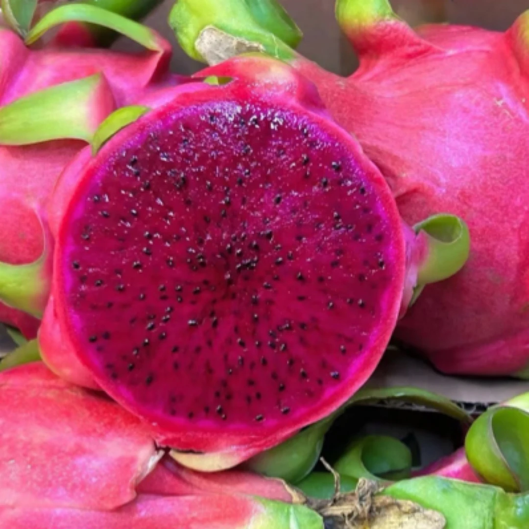 越南火龙果  约1斤