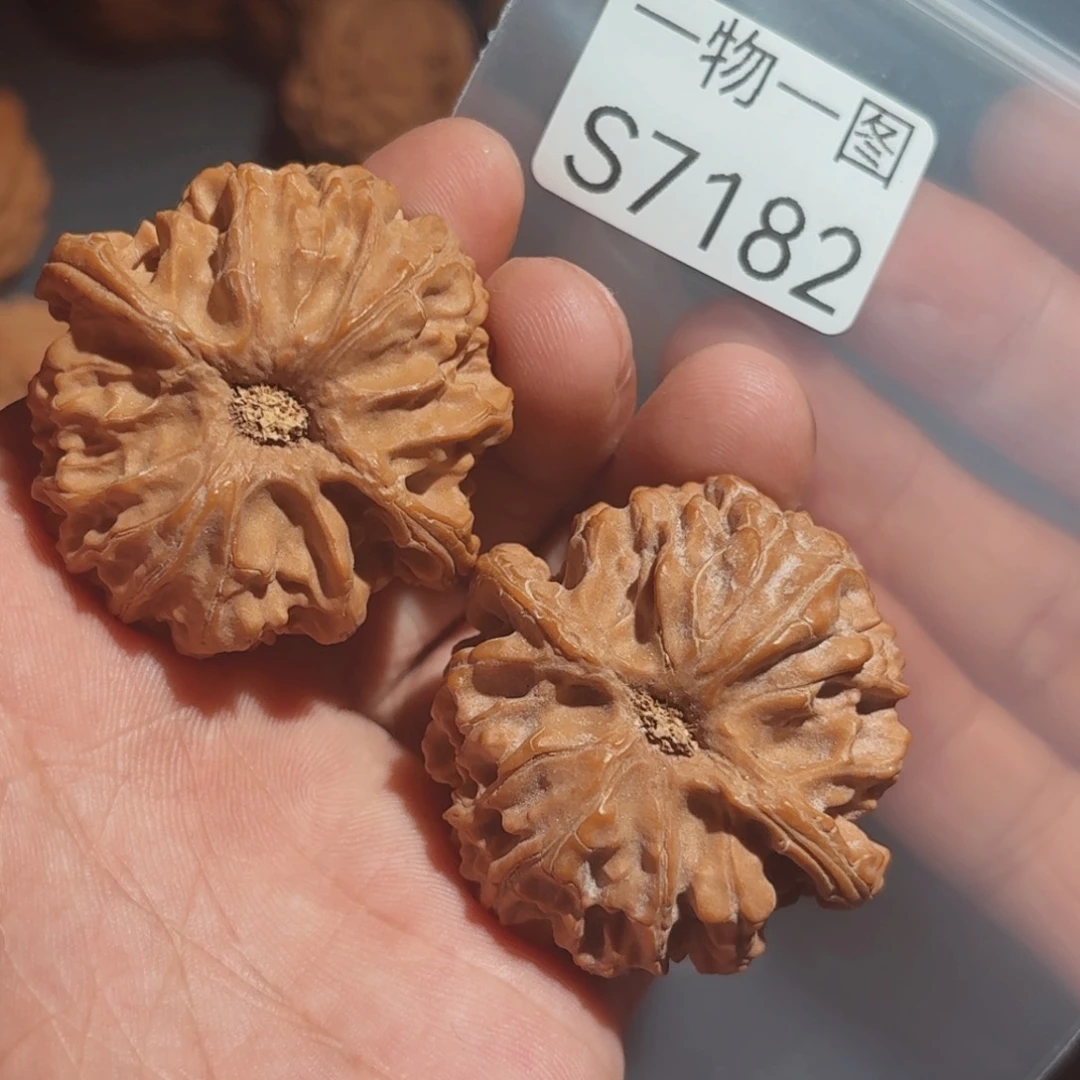 文玩核桃把件苹果