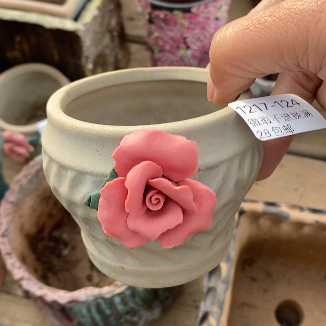 124号多肉盆口径6瑕疵