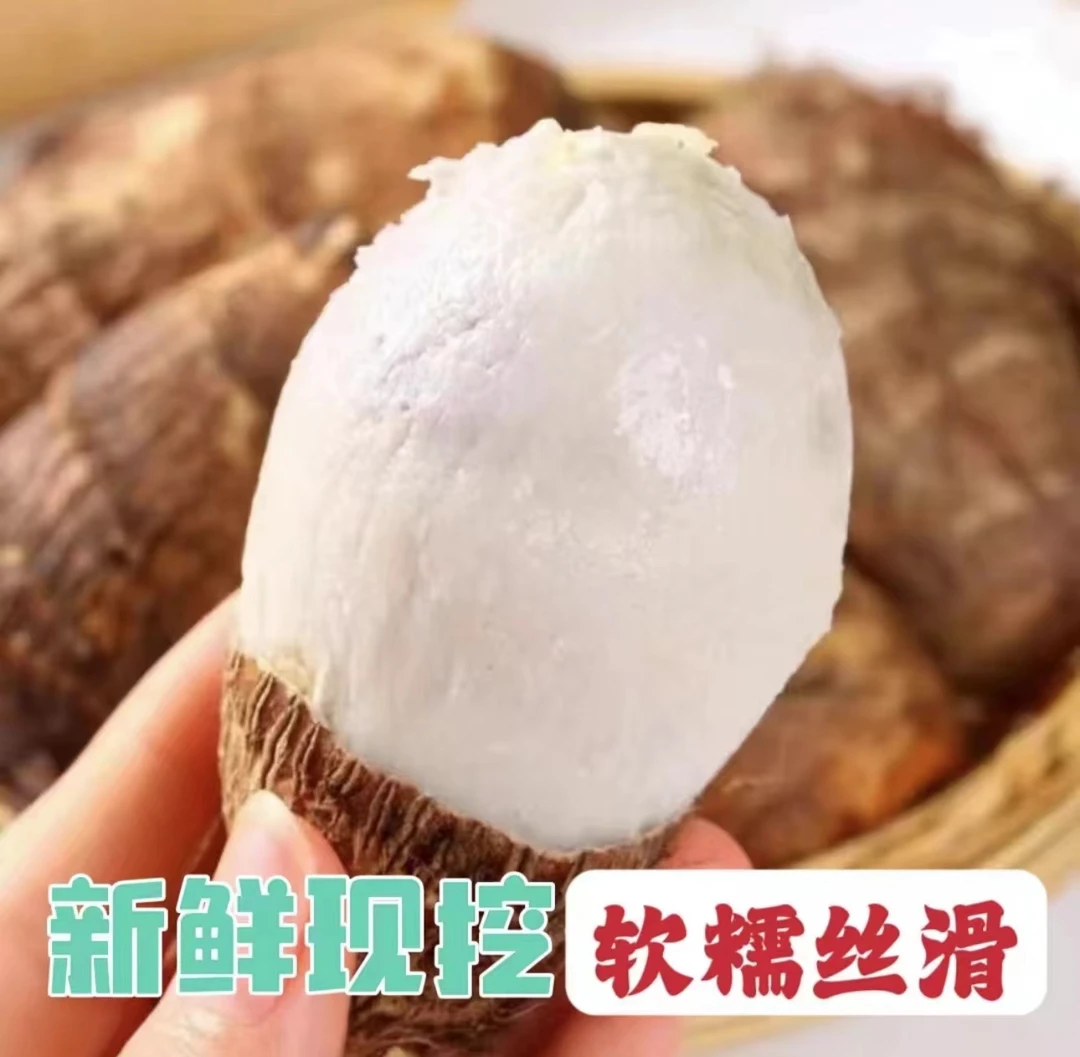 云南高山牛奶芋头香甜软糯高山农家种植新鲜现挖带泥土发货