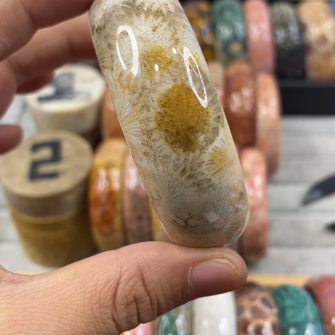 银S925镀金镶嵌手镯硅化玉