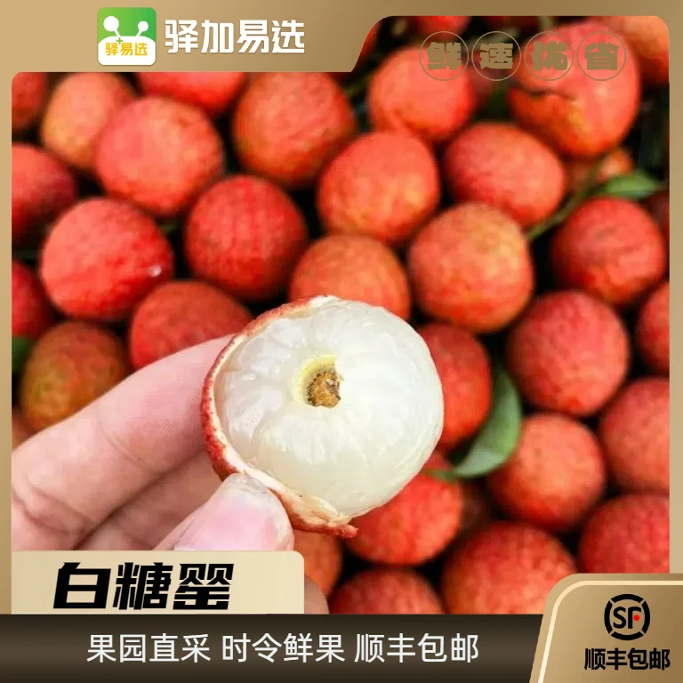 【达人限定】茂名白糖罂荔枝净重4.5斤 顺丰发货 R （仅黑吉辽内）
