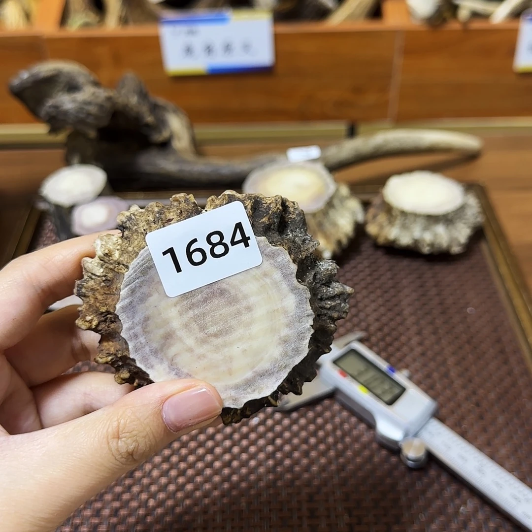 鹿骨手串/手链1684 角帽