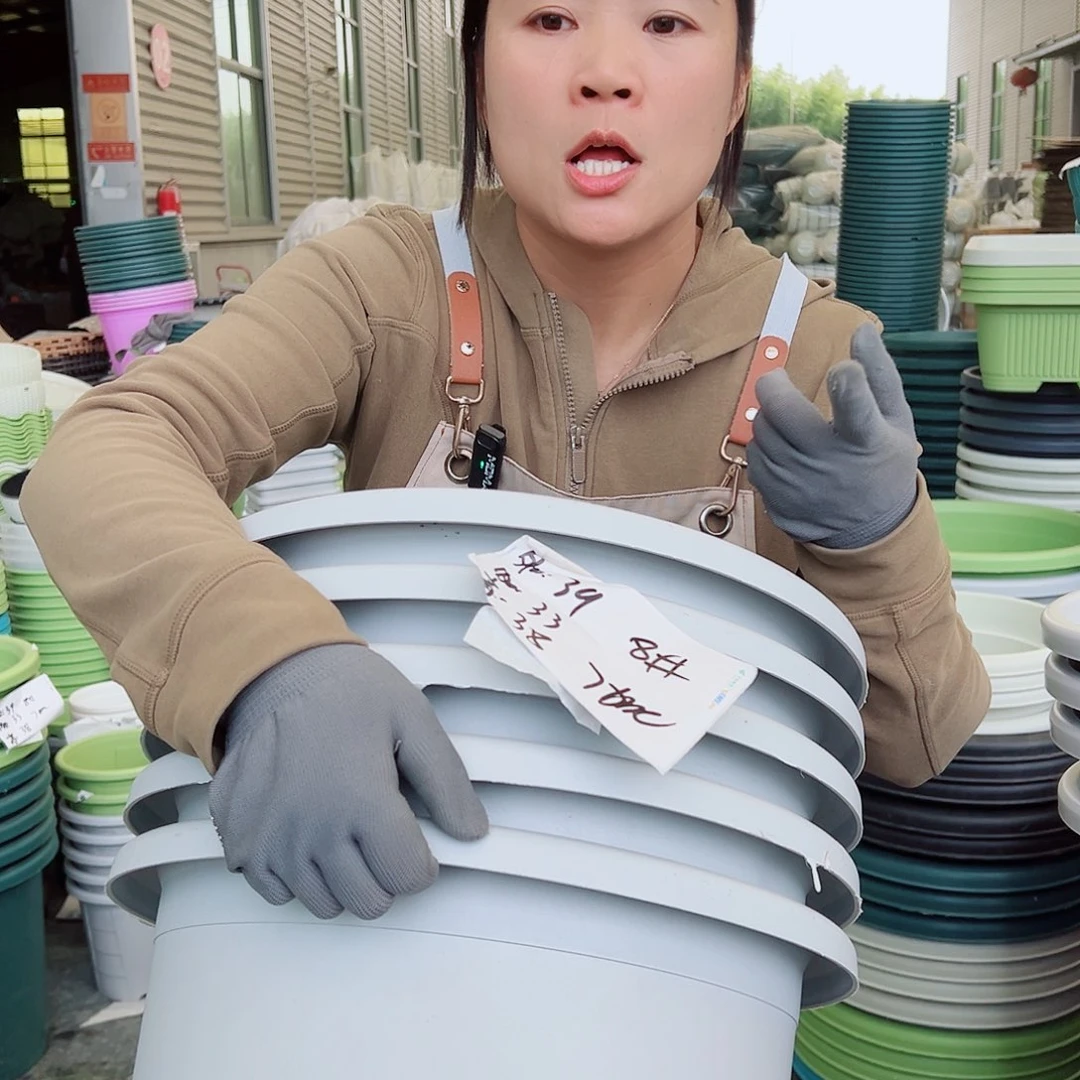 四季盆8#灰白色5个无托