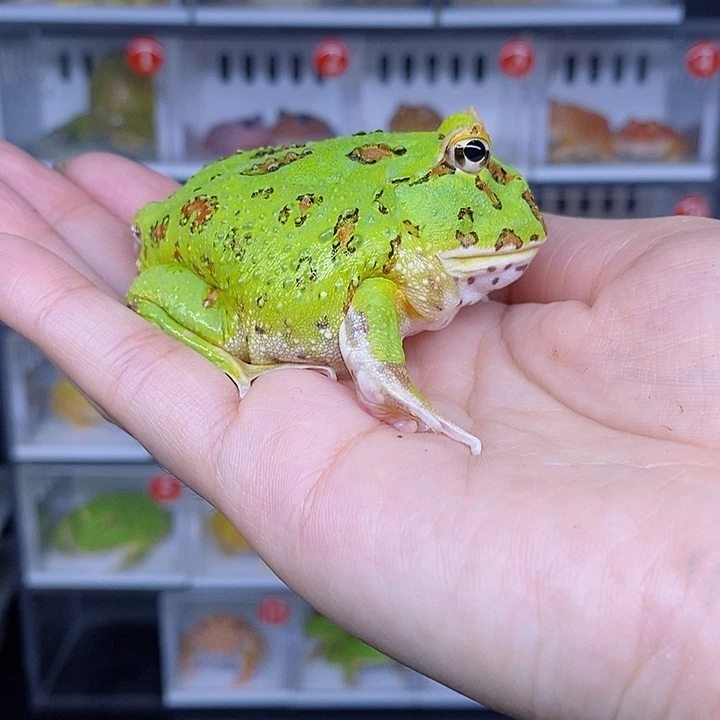 特价秒杀现货特价