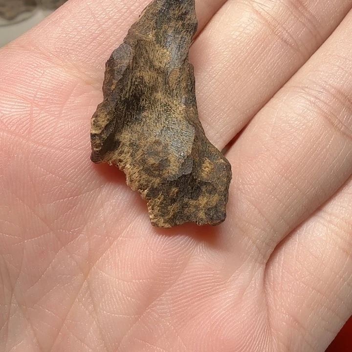 老海南沉水鹧鸪斑2.55克