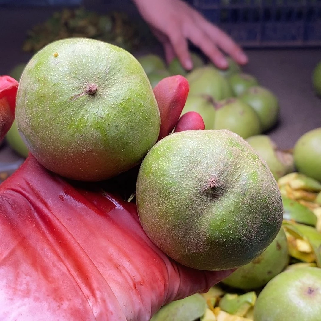 文玩核桃吊坠怀柔老树蛙