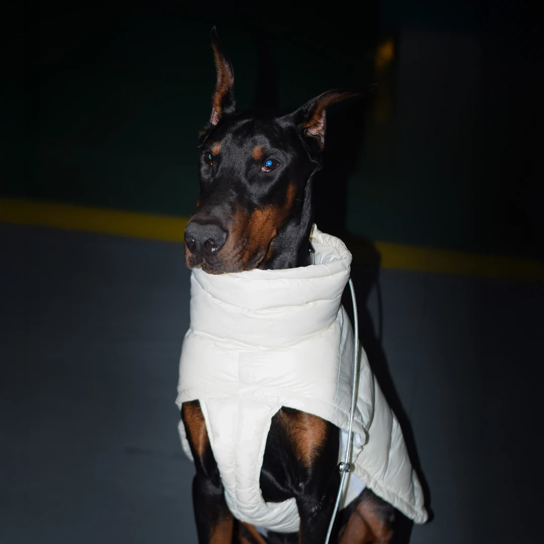 GOOD DOG小中大型狗狗冬季棉服保暖杜宾金毛拉布拉多罗威纳边牧