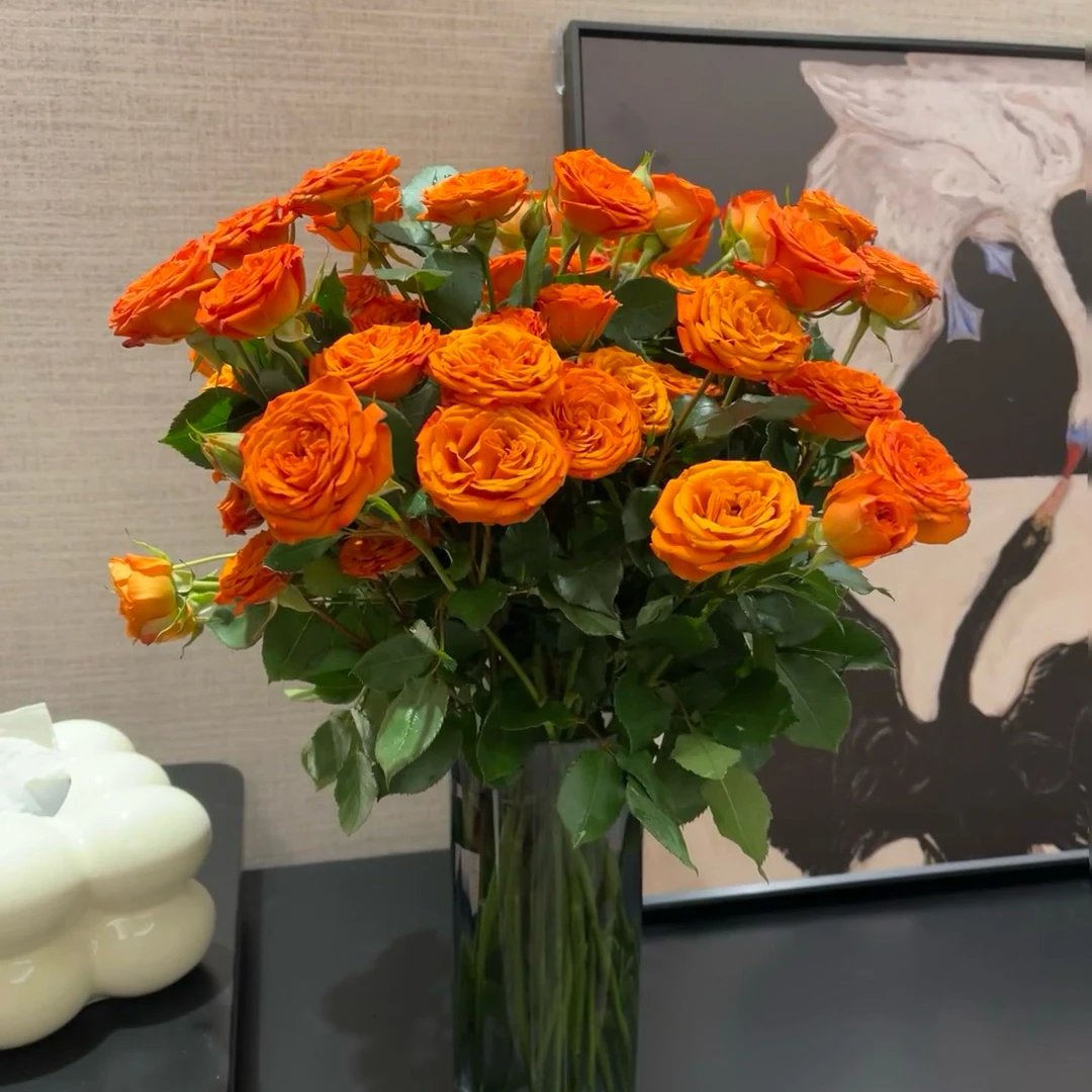 【橙色芭比5枝】多头玫瑰全场任意满两单鲜花顺丰包邮