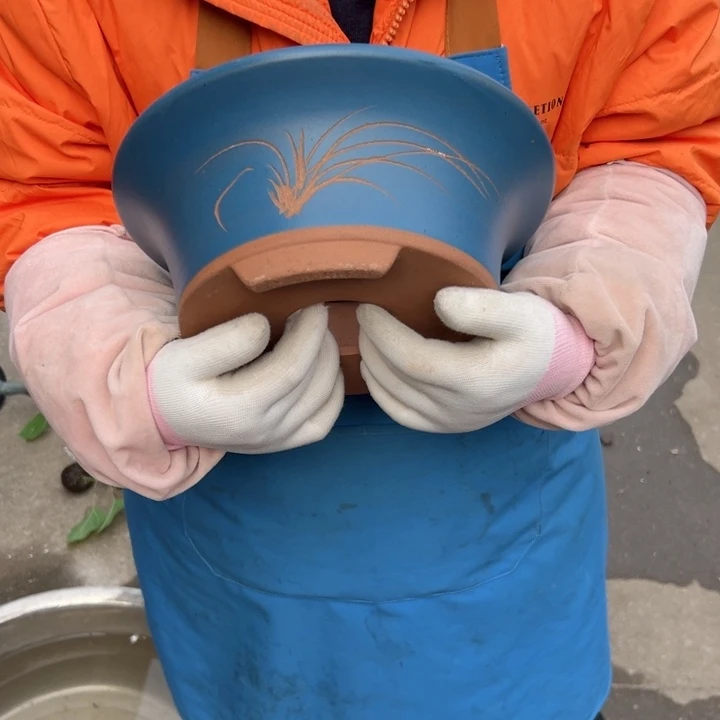 23蓝票口花盆花盆花盆花盆