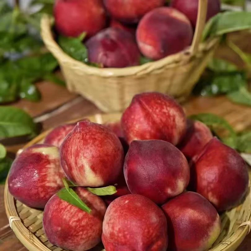 云南火焰水蜜桃2-4斤(坏果包赔)当季新鲜水果桃子四川省