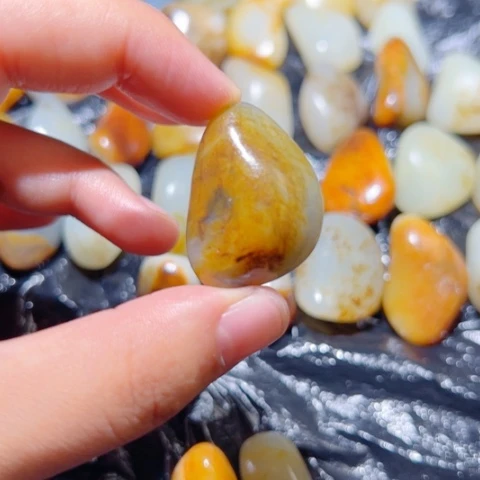 和田玉（糖玉）未镶嵌颈饰12.3克