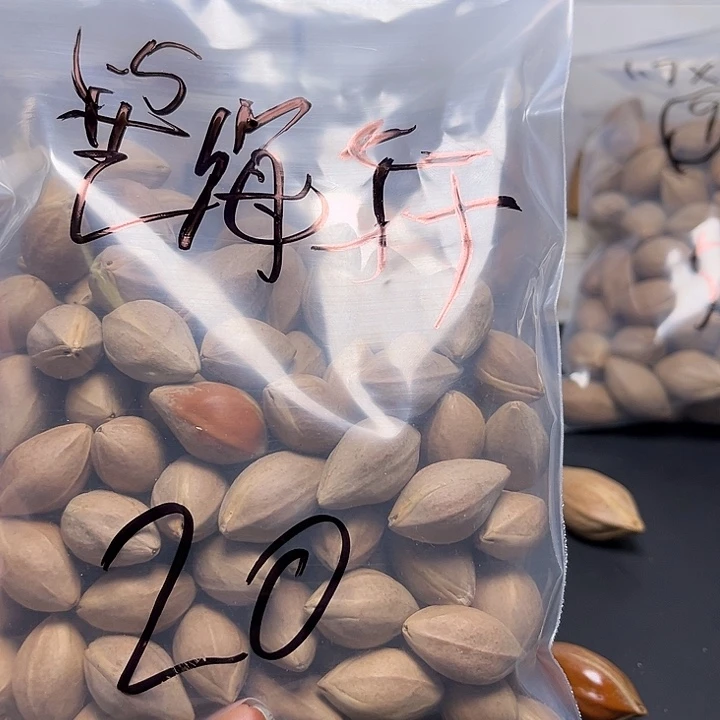 艺***作手串/手链橄榄核1111