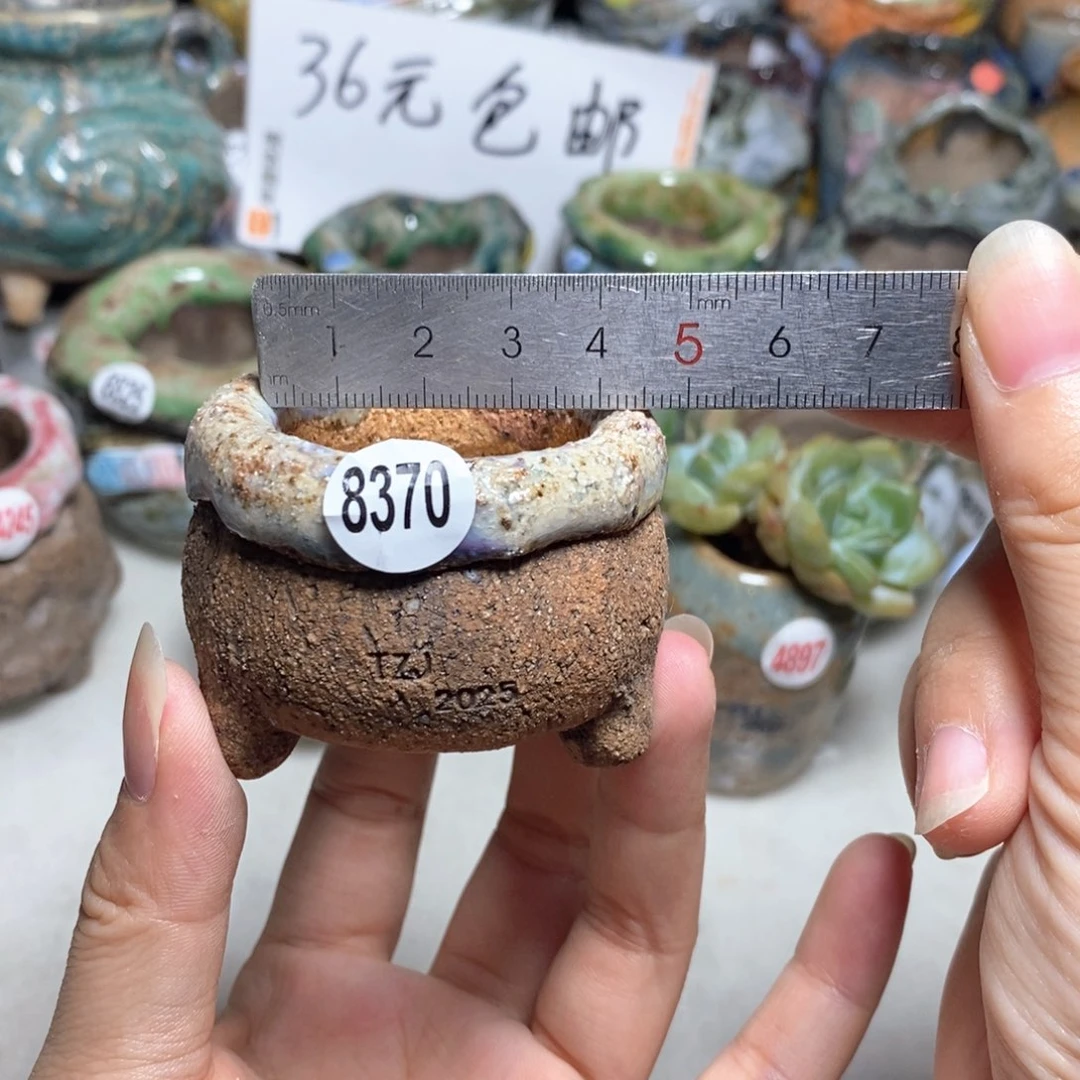 拍3送一个小礼物