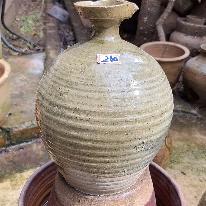 无花朵玫瑰花鲜花鲜花盛开