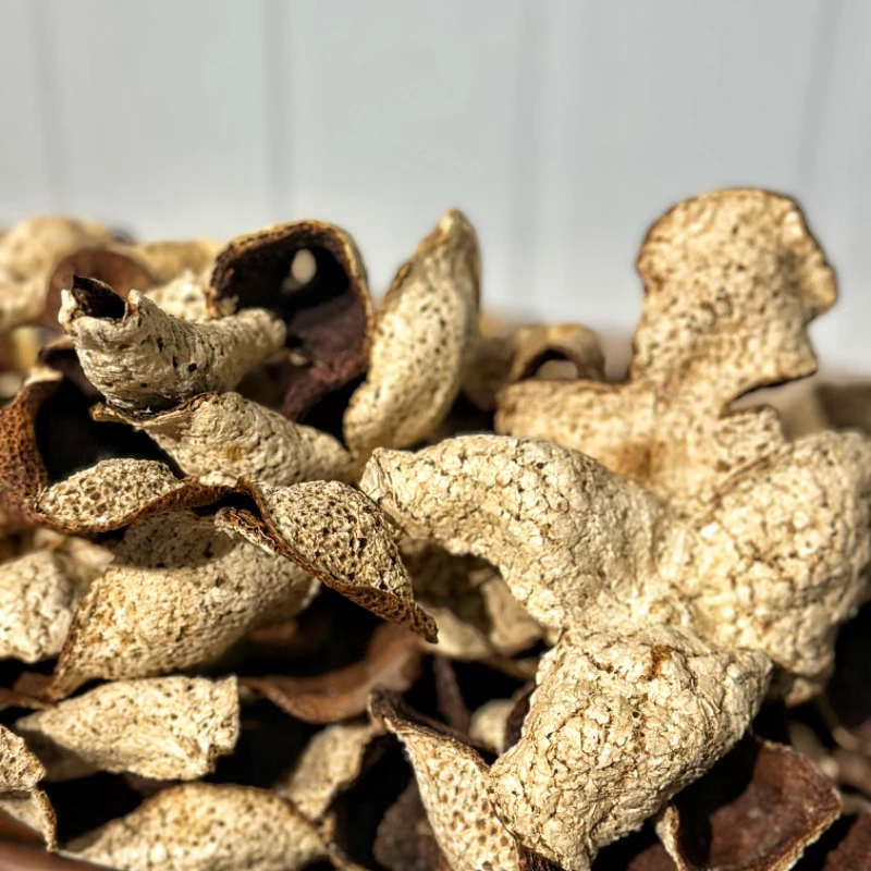 2021梅江塞口大红皮驳枝（部分有一点虫蛀）