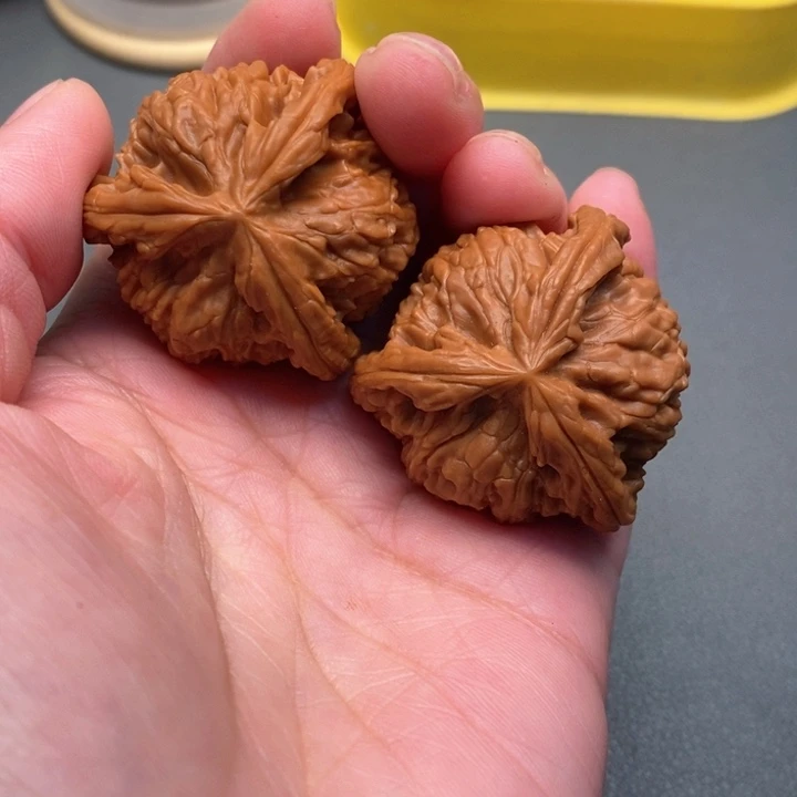 木质类渣*核桃核桃