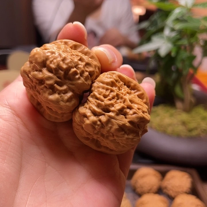 文玩核桃把件蛤蟆闪18