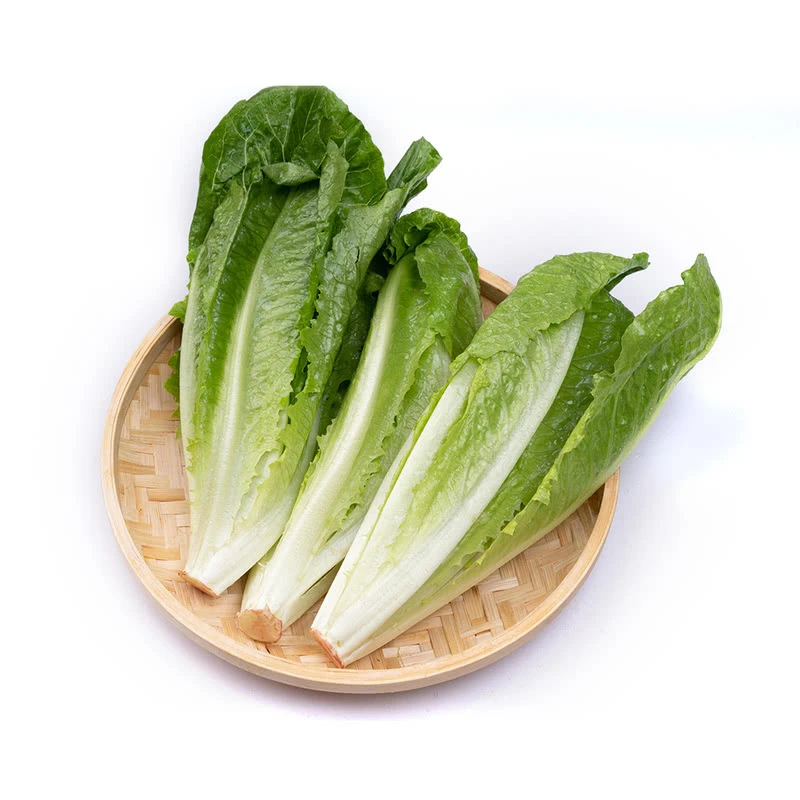 【山姆】      有机罗马生菜 600g