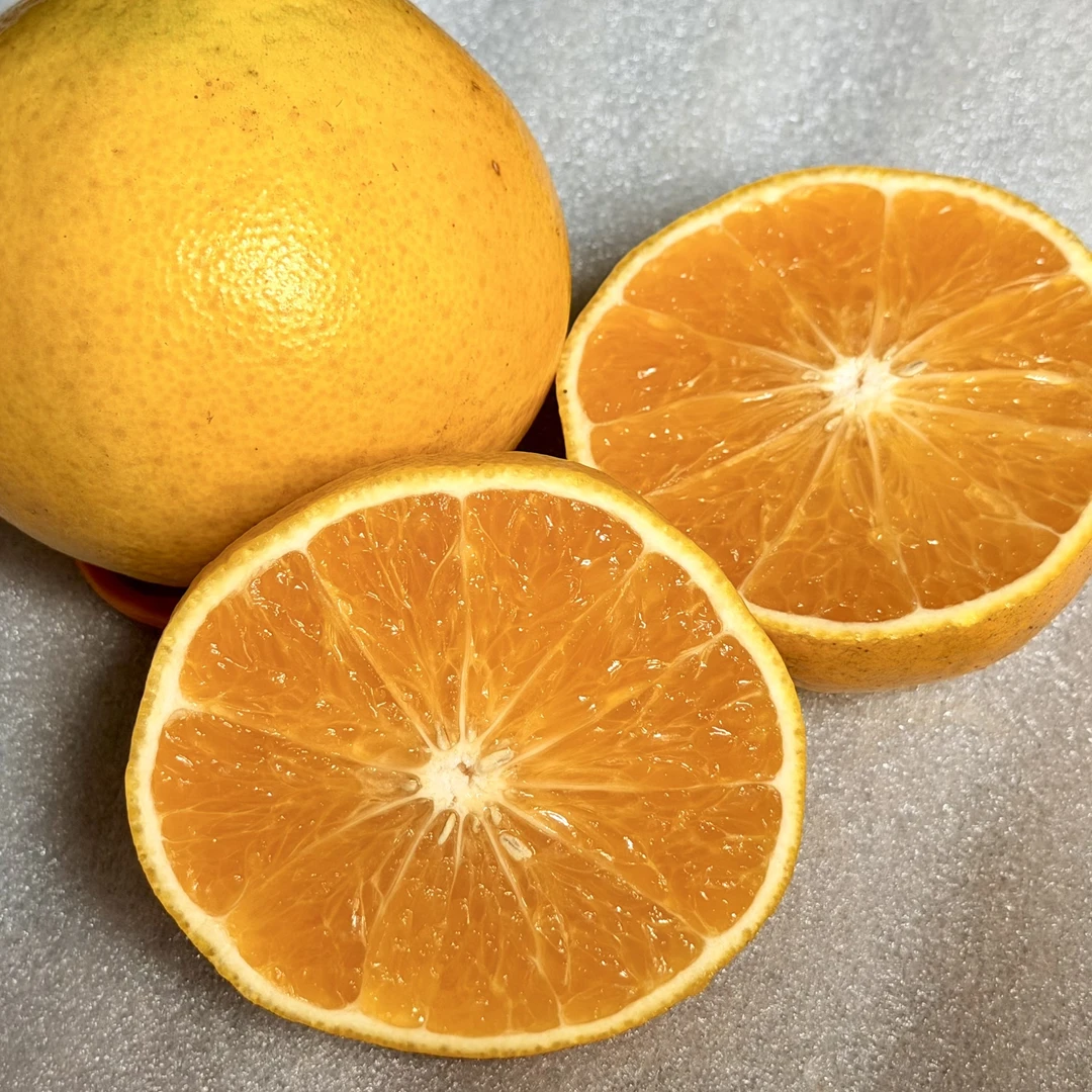 阳光一号柑橘四川井研柑橘桔柚新鲜水果甜心柑子当季橘子薄皮甜