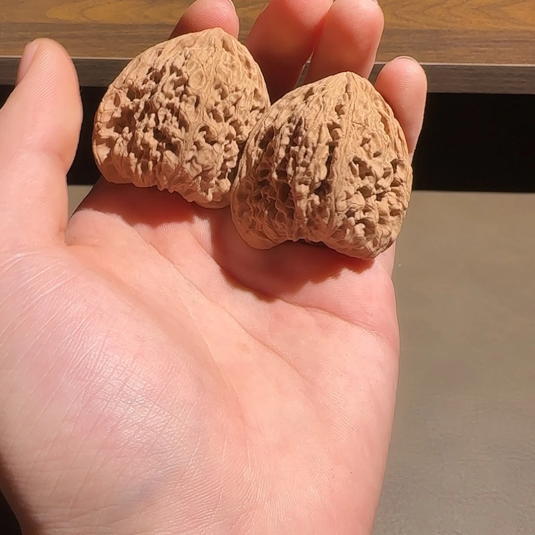 核桃43尺山地一代南疆