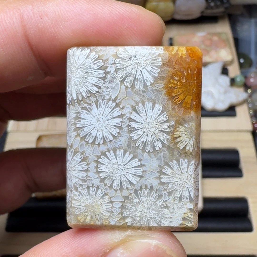 未镶嵌纯天然色有机玉石保真色硅化玉