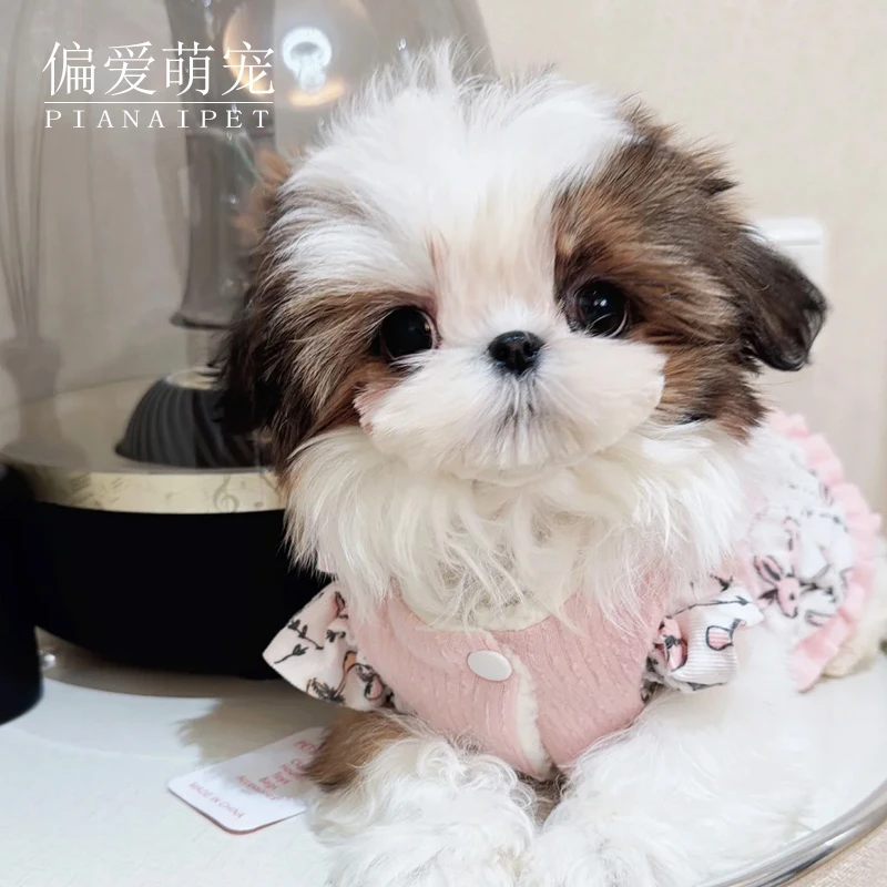 【偏爱萌宠】全系萌宠幼犬活体通用链接