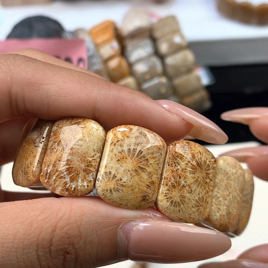 【闪购商品】颈饰未镶嵌硅化珊瑚（珊瑚玉）五****鱼