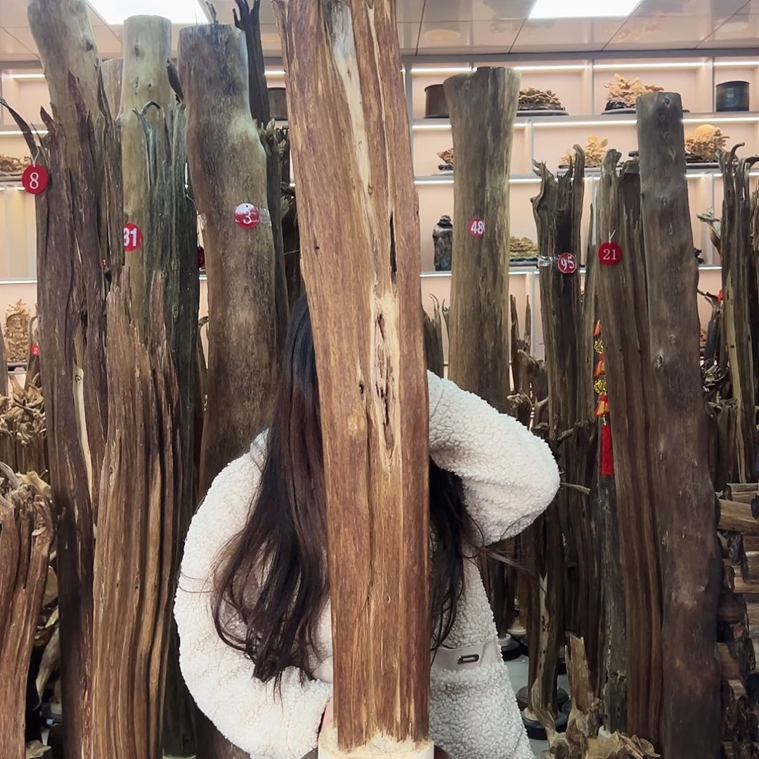 沉香摆件沉香原料摆件工艺品