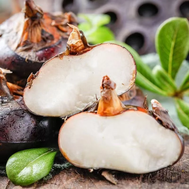 新鲜现挖清甜多汁马蹄荸荠水果马蹄农家地梨大果原产地茨菇果蔬