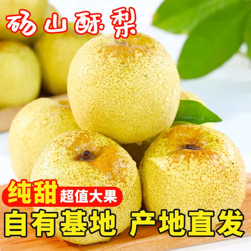 砀山酥梨皮薄多汁老树梨批发当季新鲜水果梨子爆甜酥脆