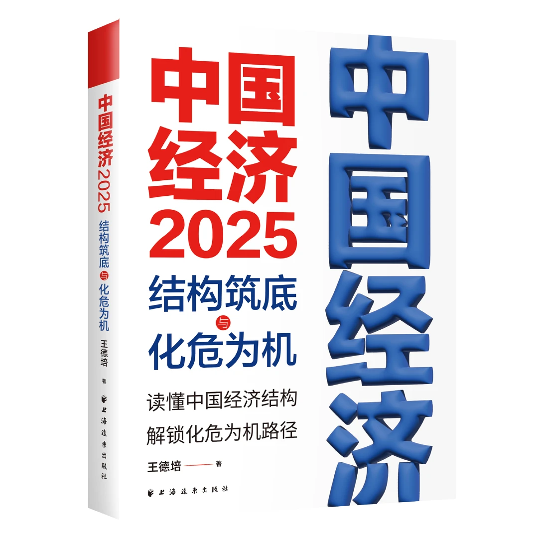 中国经济.2025:结构筑底与化危为机