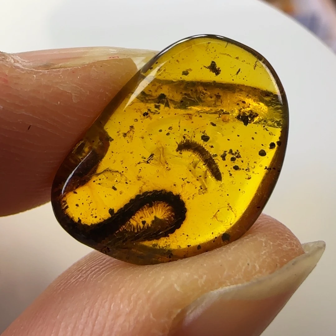 琥珀裸石未镶嵌李*菜马陆