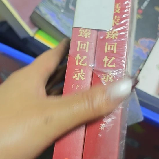 聂回忆录两本一套库存书
