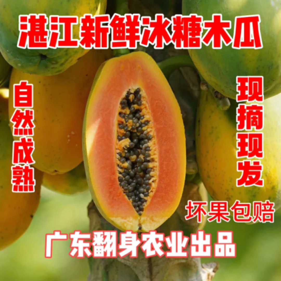树上熟冰糖心木瓜湛江产地红心牛奶木瓜细腻多汁软糯香甜包邮