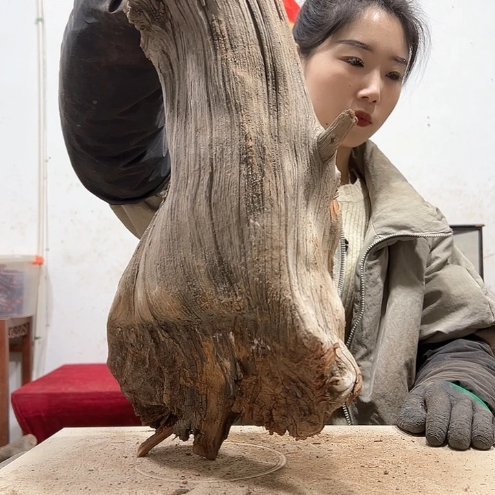 柏木千**外我们的生活也