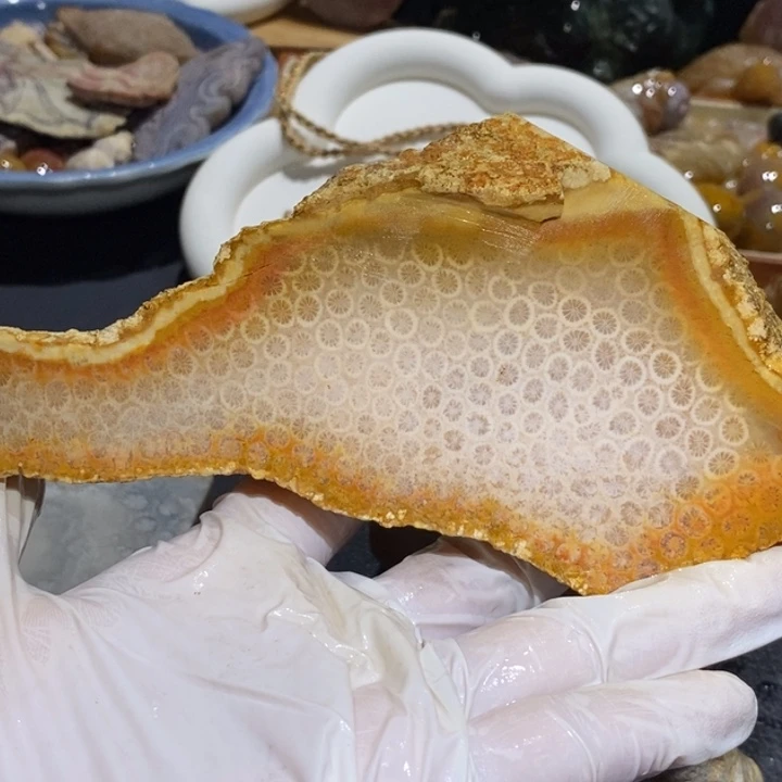 【闪购商品】未镶嵌珊瑚玉硅化玉