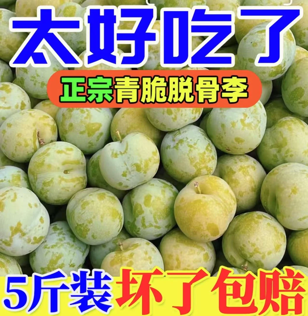 四川青脆脱骨李新鲜应季水果脆甜脱骨