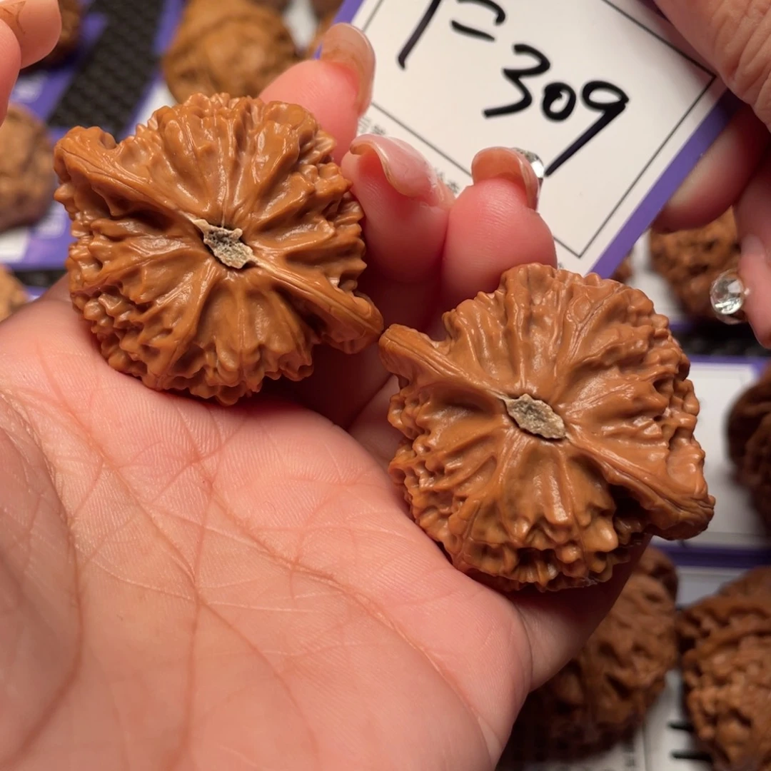 文玩核桃把件309号灯