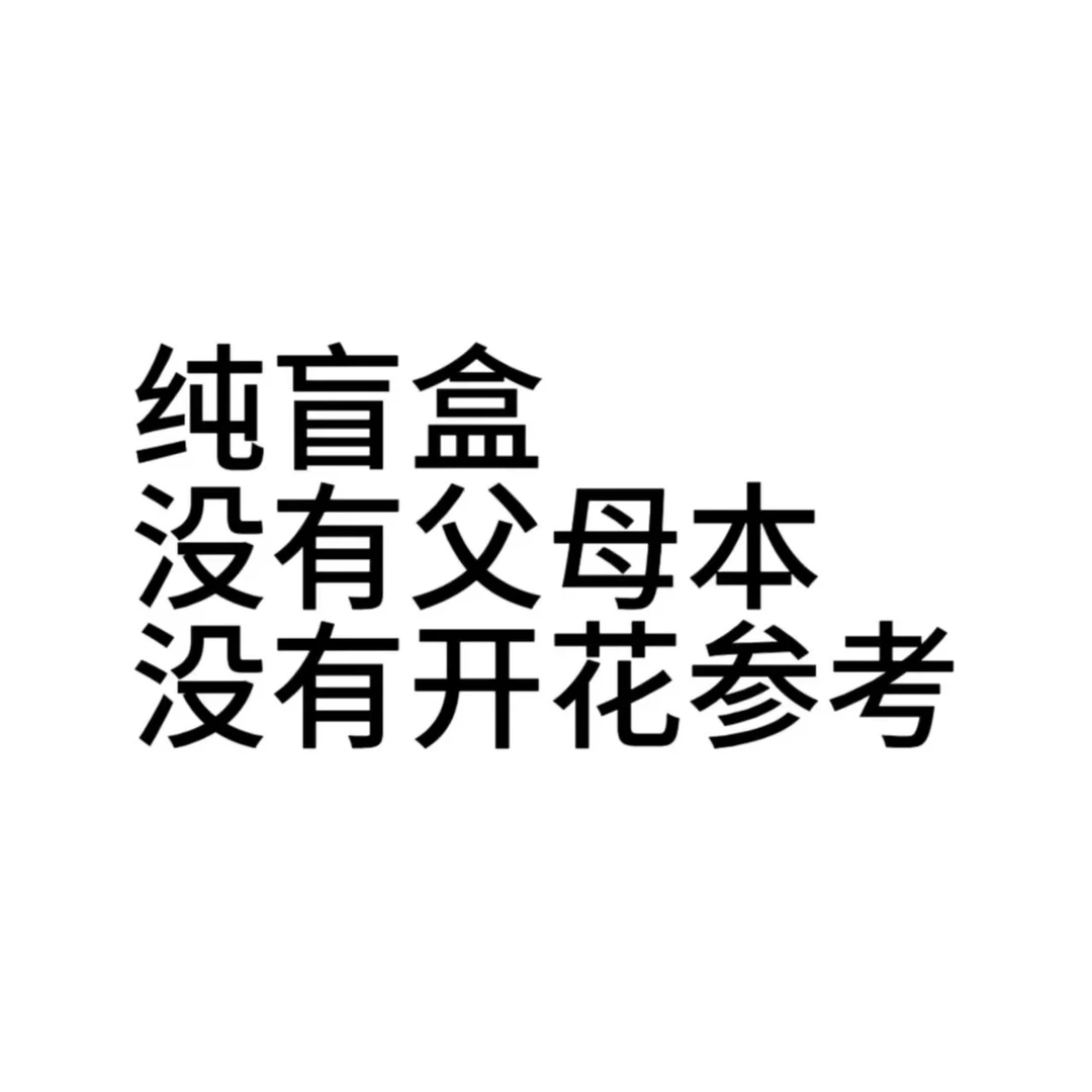 【特价不售后】1.7寸 嘟嘟限定盲盒-苗【叶瑕无根苗小】 原生趣味兰