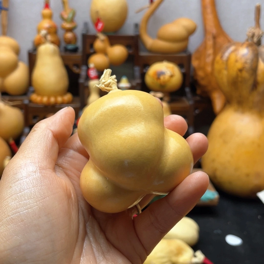 啊**?大自然的秘密第十节第二十