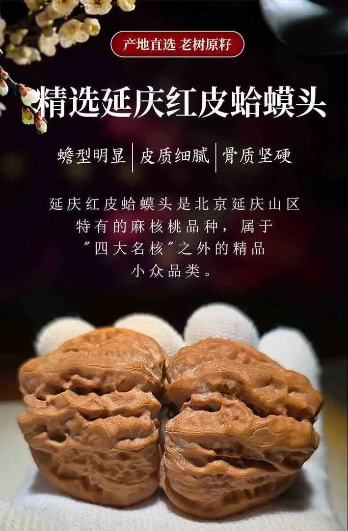 竞拍蛙蛙直播间专属