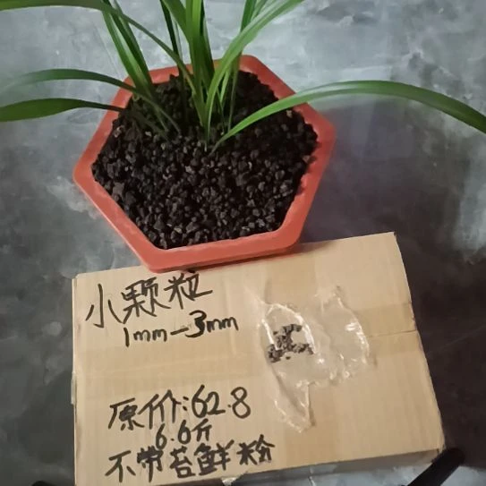 D***芽兰菌黑山土小颗粒6.6斤