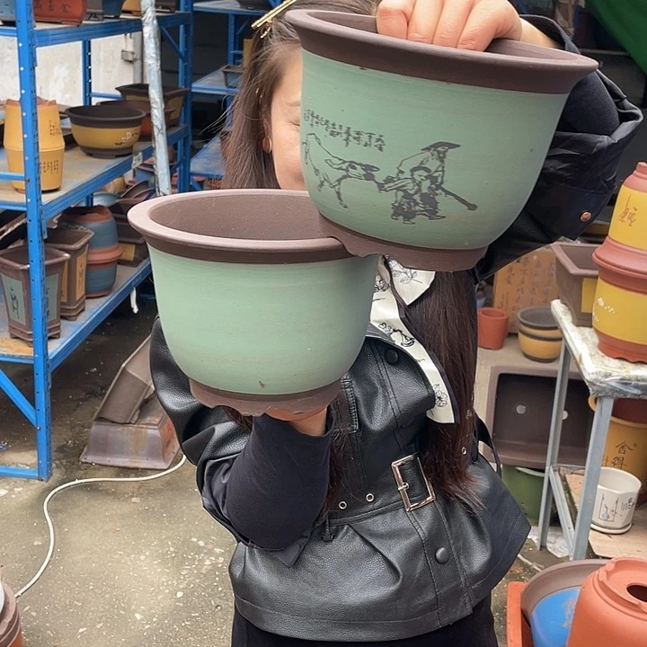 20+20绿色放牛娃平角金钟花盆紫砂